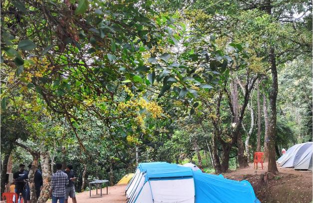 Suryanelli Other | Munnar iwa