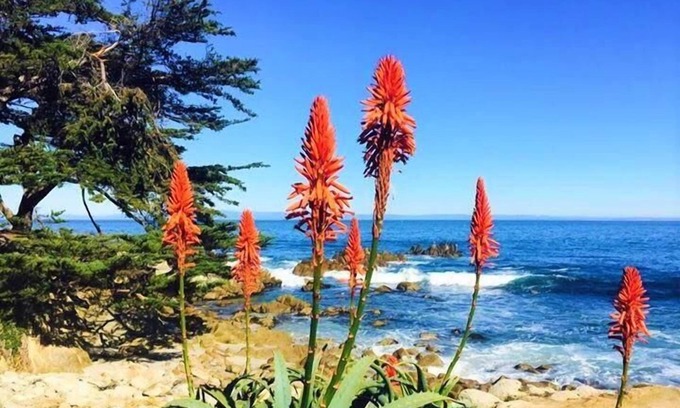 Carmel Point House | Mv14: Beach Retreat Close To The Beach And Carmel