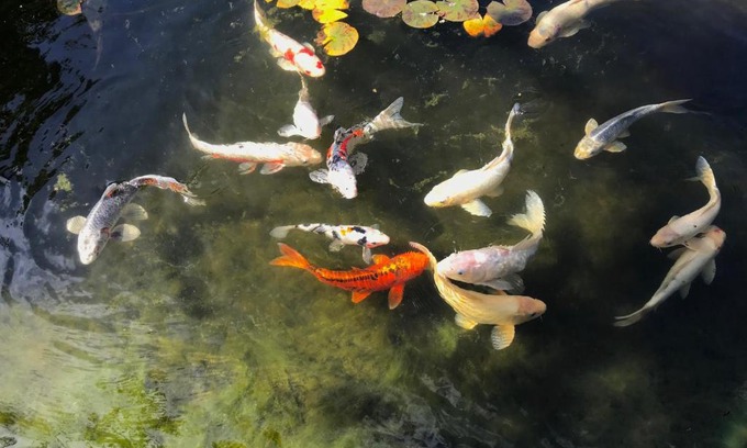 West Junior College Bed & Breakfast | My Big Art Project