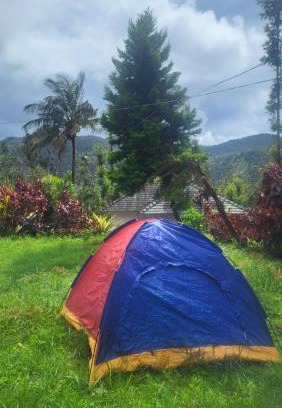 Chikkamagaluru House | Nature kings Timber leaf Homestay