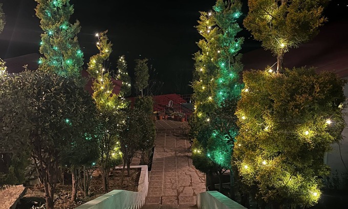 Shilon Bagh Hotel | Nature Nest Eco Resort
