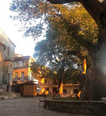 Mesenikolas Apartment | Nature Paradise Apartment