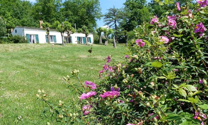 Lamothe-Montravel Cottage | Nature, wine and culture .