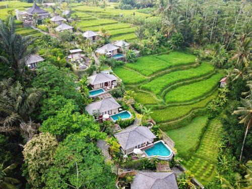 Sebatu Villa | Nau Villa Ubud