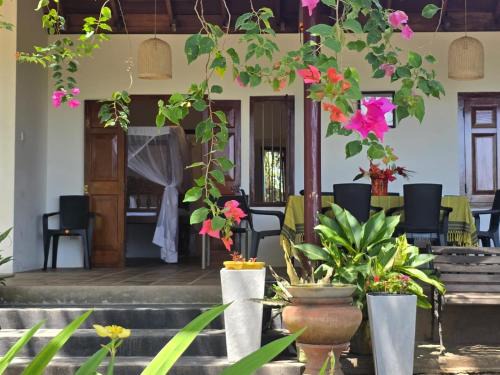 Tangalle Villa | New Blue Horizon Villa
