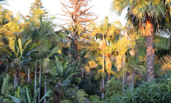 Diamond Crestview House | NEW! Canyon Retreat w/View. Walk to Beach and Town