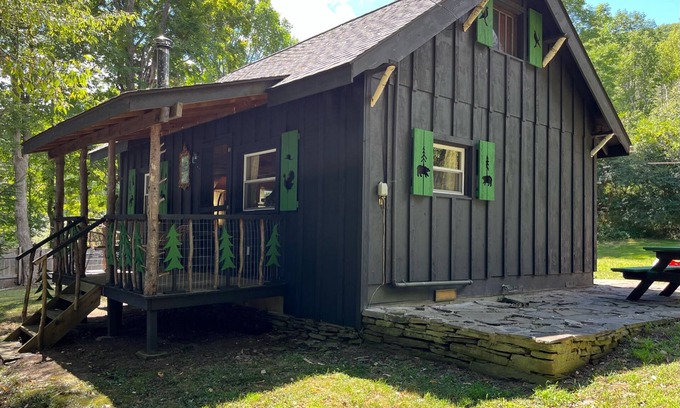Town of Colchester Cabin | *New* Classic Cozy Catskill Mountain Cabin ~ Wood Stove+Soaking Tub