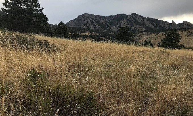 South Boulder Apartment | Newly Renovated Private Access 1 bedroom unit