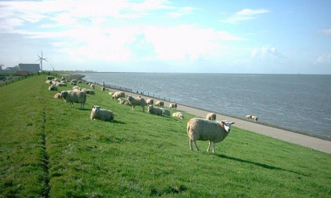 Tzummarum Ski Chalet | Nice chalet near the Wadden Sea