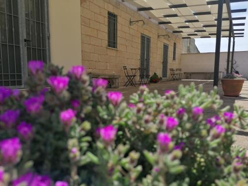 Martano Bed & Breakfast | Nicuzza