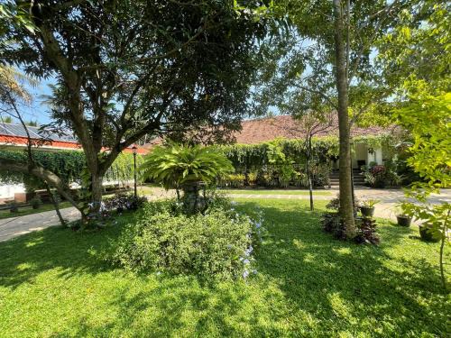 Seeduwa - Katunayake House | No.53