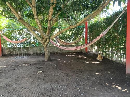 Capurgana House | none