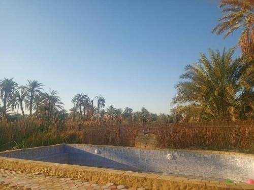 Siwa House | noor house