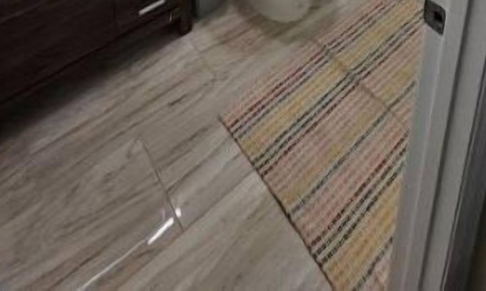 Seffner Community Alliance Apartment | North Paradise-Suite 5