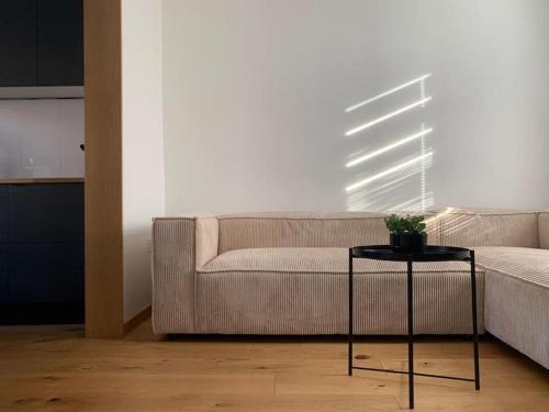 Belfast House | Oasis by Black Dove design