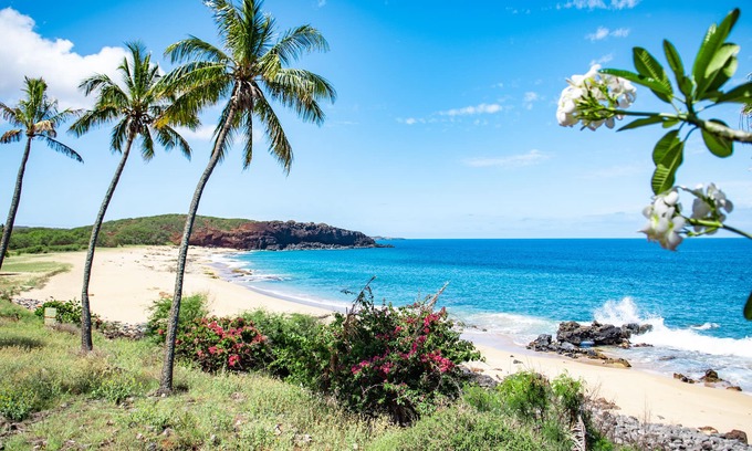 Maunaloa Apartment | Ocean View Condo w/Lanai, WiFi, Shared Pool/Grills - Steps to Kepuhi Beach