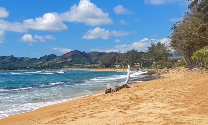 Wailua Apartment | Ocean Views Top floor King Bed Beach Access Pools BBQ Renovated Unit with AC