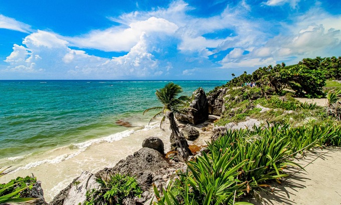 Tulum Apartment | Octopus Hideaway @ TAO Santamar E201 | Romantic apartment with plunge pool