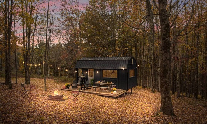 Bovina Center Apartment | Off-Grid Tiny Cabin with Cozy Vintage Charm