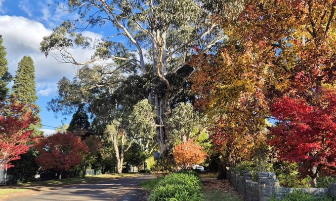 Bowral Cottage | Old Bowral: Quiet, private, 1 bedroom cottage, undercover parking, walk to town.