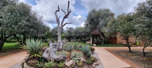 Otavi House | Olienhoff Guesthouse and Rest Camp