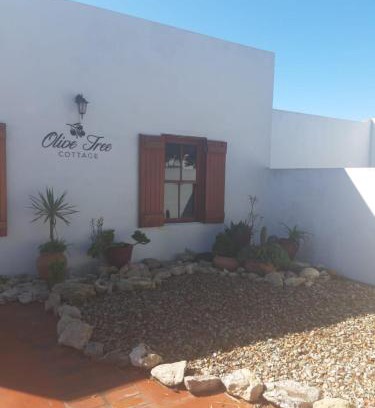 Paternoster House | Olive Tree Cottage