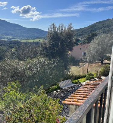 Alata House | olmareddu