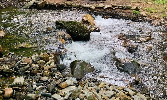 Hayesville House | OMG! A few last minute summer openings!!! Cool creek & delights for kids!