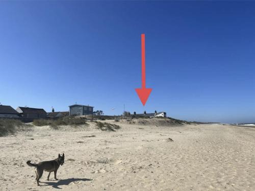 Caister-on-Sea House | One Coastguard Road Cottage