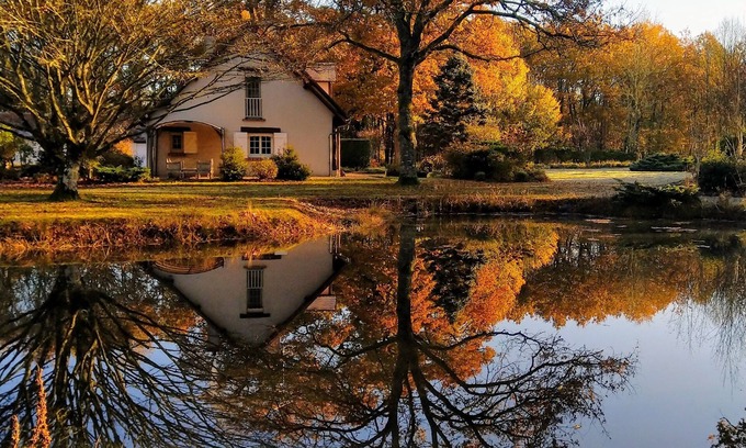 Lassay-sur-Croisne Bed & Breakfast | Orée du Bois en Sologne