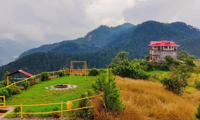 Shimla Hotel | Orchard Green Dummi