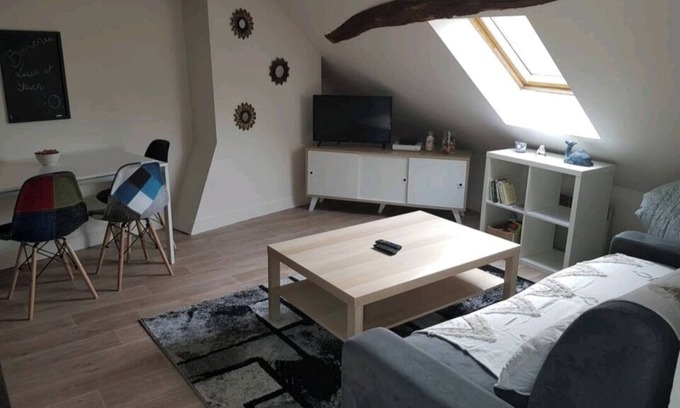 Bourgogne Apartment | Orléans superb T2 between theater and cathedral