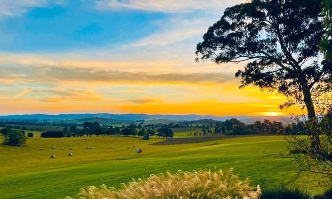 Tarrawarra Villa | Outlook Hill Garden Estate - Modern Villa