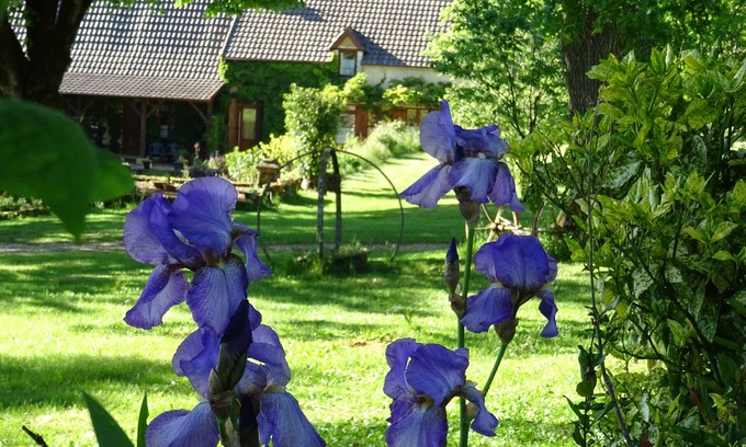 Saint-Genies House | Périgourdine Holiday Home - 3 Bedrooms