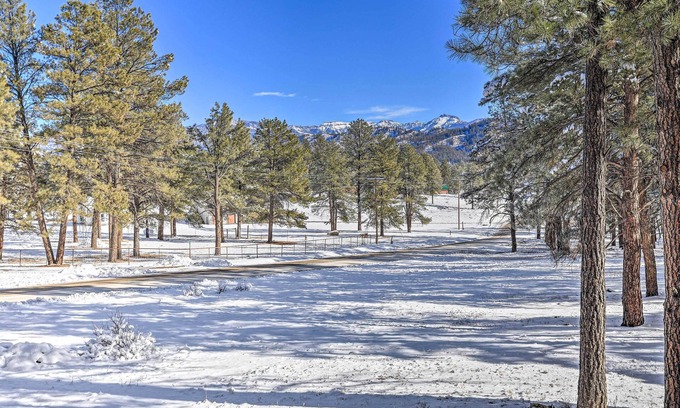 Pagosa Springs House | Pagosa Springs Gem w/Yard, Decks + Mtn Views!