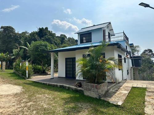 La Mesa House | Palma real