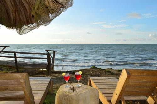 Monitos House | Palmar del viento cabaña frente al mar
