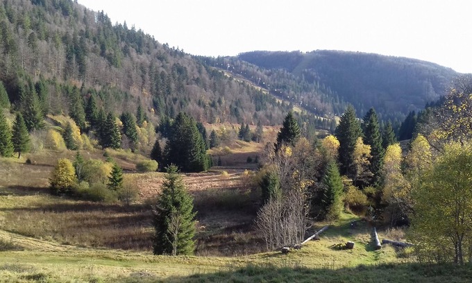 La Bresse Apartment | Panoramic view apartment on the slopes of Labresse and La Tourbière