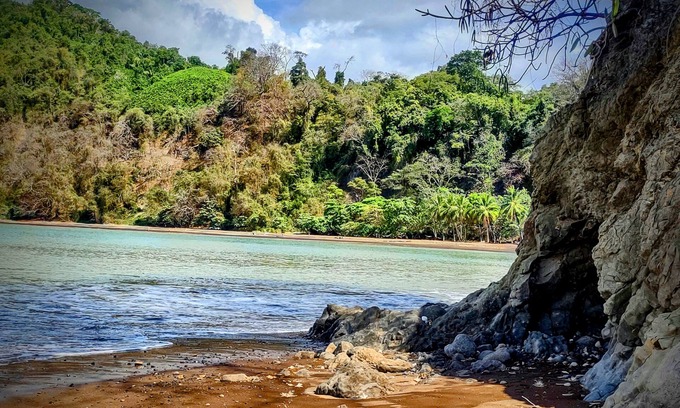 Tarcoles Condo | Paradise Found! Character filled close to beach, forest and amenities