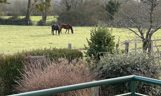 Conde-sur-Huisne House | Parc du PERCHE Orne -maison indépendante 4 personnes au cœur d'un village vivant