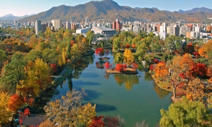 Nakajimakoen Apartment | Park view from the top floor of 2A Towerman Enjoy - AMS Tower Nakajima 2102 / Sapporo Hokkaidō
