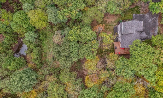 Berkeley Springs Cabin | Pattertwig - Enjoy going out on a limb!