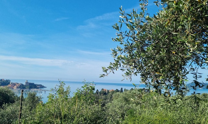 Lerici Cottage | Patty's Cottage with private parking