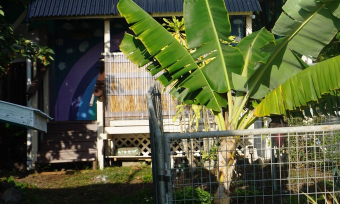 Opihihale Apartment | Peaceful farm stay on the hills of West Hawaii overlooking the pacific ocean!