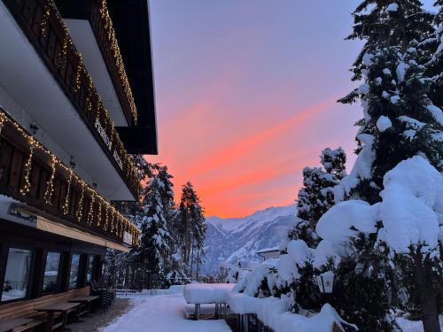Obsteig Hotel | Pension Alpina