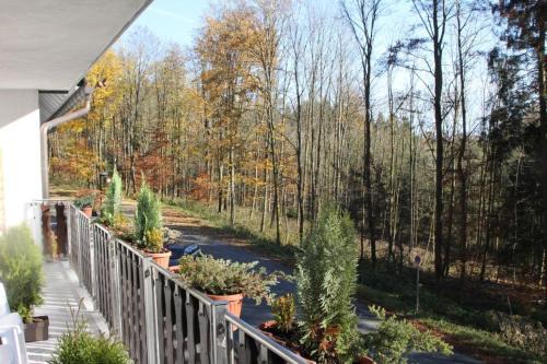 Mollseifen House | Pension Walddorf