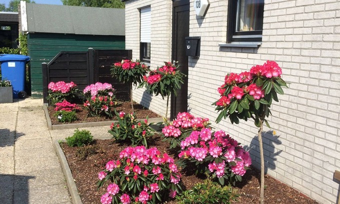Tossens House | Pet-friendly "holiday home-to-Friesenheimat"