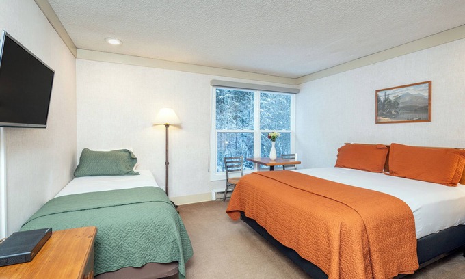 Telluride Hotel | Pet-Friendly Hotel Room With Kitchenette at Mountainside Inn