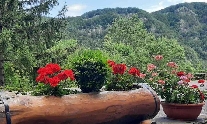 Pian di Novello Apartment | Piandinovello nice stay