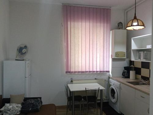 Tirgu Mures Apartment | Piata Armatei 1 camera